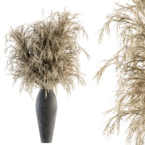 Dry Plants 55 - Dried Plant Pampas Bouquet