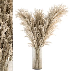 Dry Plants 57 - Dried Plant Pampas Bouquet