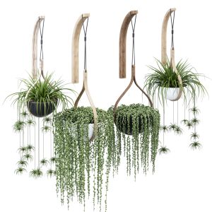 Morvah Hanging Planter