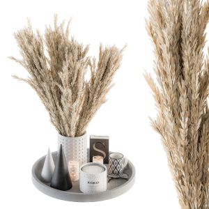 Decorative Set Dried Plants And Pampas - Set 53