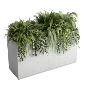 Concrete Box Plants On Stand Set Indoor 347