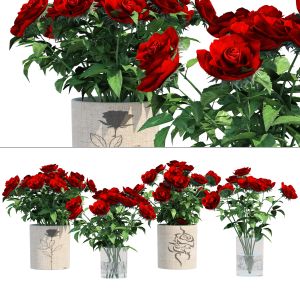 Red Rose Flower Vases