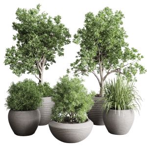 Indoor Plant Set 349 Plant Tree Grass Vase Dirty C