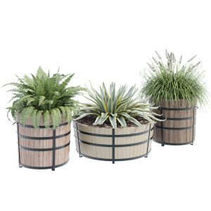 Half Barrel Planters