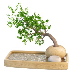 Tree For Decoration