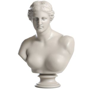 Venus De Milo Bust