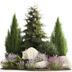 Alpine Slide With Thuja Spruce Lavender Bushes