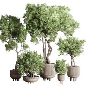 Collection Indoor Outdoor Plant 118 Vase Concrete