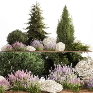 Alpine Slide With Thuja Spruce Lavender Bushes 2