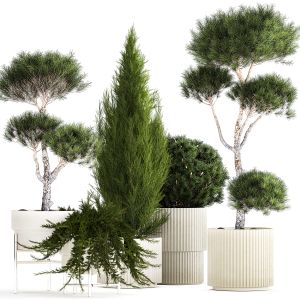 A Collection Of Plants In Concrete Vases And Pots