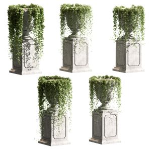 Flowerpots With Hanging Ivy. 5 Models