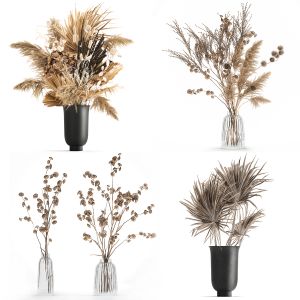 Set Of Bouquets Of Dried Flowers Pampas Grass