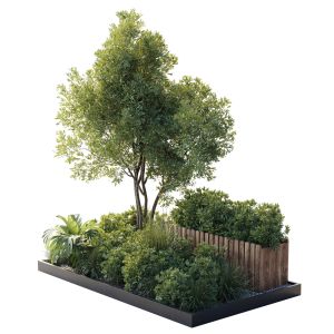 Garden Plants Set In A Box  Outdoor Set 150