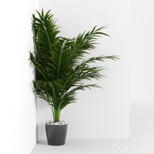 Houseplant 16 - Corner version