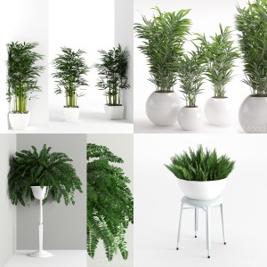 Plants collection vol 1