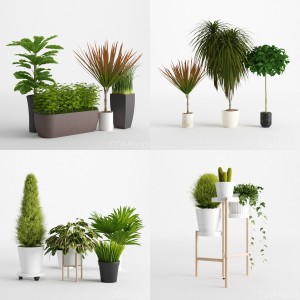 Plants Collection Vol 2