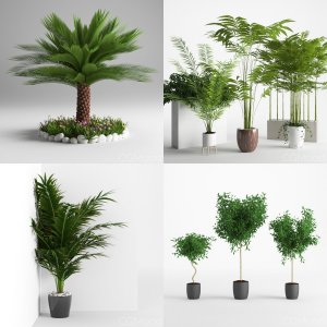 Plants Collection Vol 3