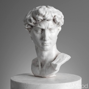 David 3d Scanned Model