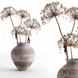 Hogweed In A Clay Vase