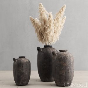 Pampas Grass In Clay Vases Restoration Hardware