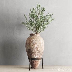 Antique Vessel And Olive Branch