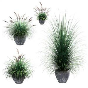 Outdoor Potted Plants. 4 Models