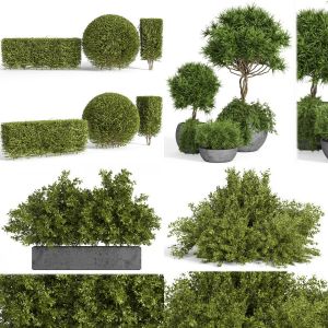 4 sets of outdoor plantst