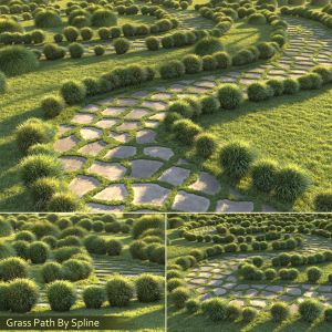 Grass Path By Spline