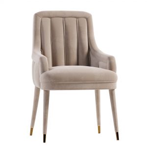 Dining Chair Modern