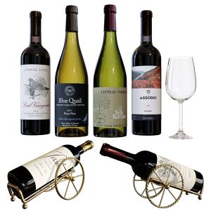 Wine Bottle Set 17