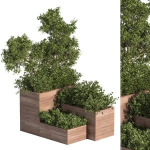 Outdoor Plants Tree In Plant Box Set02