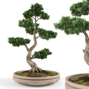 Bonsai Decorative Tree 01