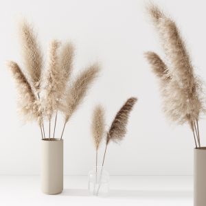 Set Of Pampas In Vase