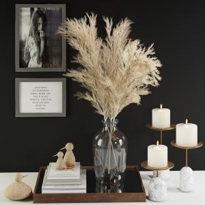 Pampas Decorative Set