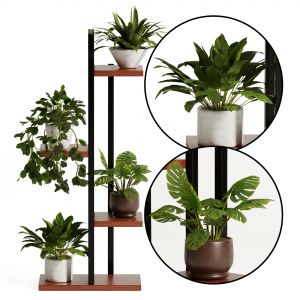 Plant Stand Flowe Pot