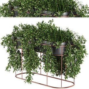 Plant Stand, Black & Metallic Gold