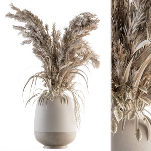 Dry Plants 53 - Dried Plant Pampas Bouquet