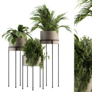 Indoor Plant Set 129 - Plant Stand