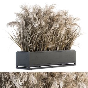 Indoor Plant Set 131 - Dried Plant Box