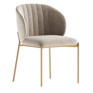 Shell Back Dining Chair