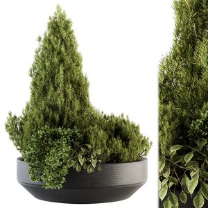 Outdoor Plants Garden - Set 142