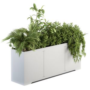 Outdoor Plants In White Box - Set 173