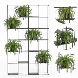 Indoor Plant_metal Stand