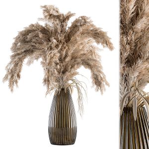 Dry Plants 52 - Pampas In Glass Vase