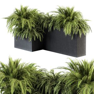 Outdoor Plants Tree In Concrete Box - Set 155