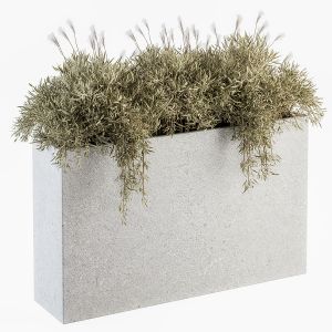 Outdoor Plants In Concrete Plant Box - Set 165