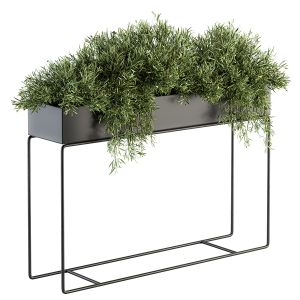 Indoor Plant Set 184 - Plant Box Stand