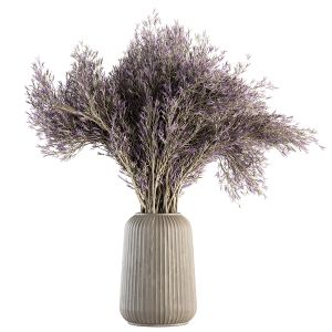 Dry Plants 67 - Dried Lavender