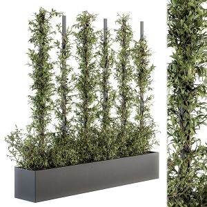 Vertical Garden Metal Frame - Outdoor Fitowall 20