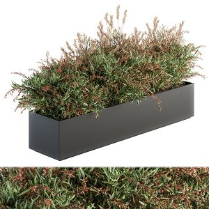 Outdoor Plant Set 166 - Plant Box Bush